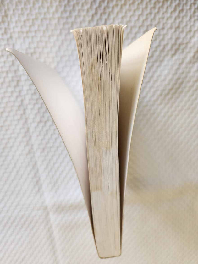 Blessed Paisius Velichkovsky softcover Rare damaged