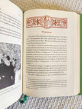 Elder Paisios of Mount Athos rare