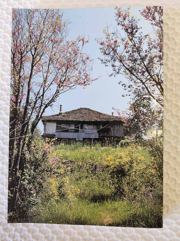 Elder Paisios of the Holy Mountain rare book