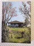 Elder Paisios of the Holy Mountain rare book