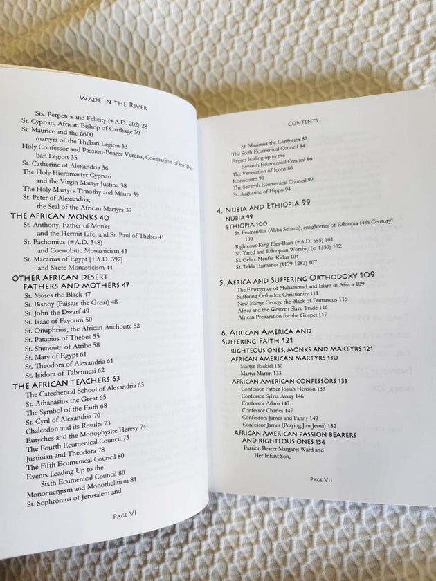 Wade in the River rare book