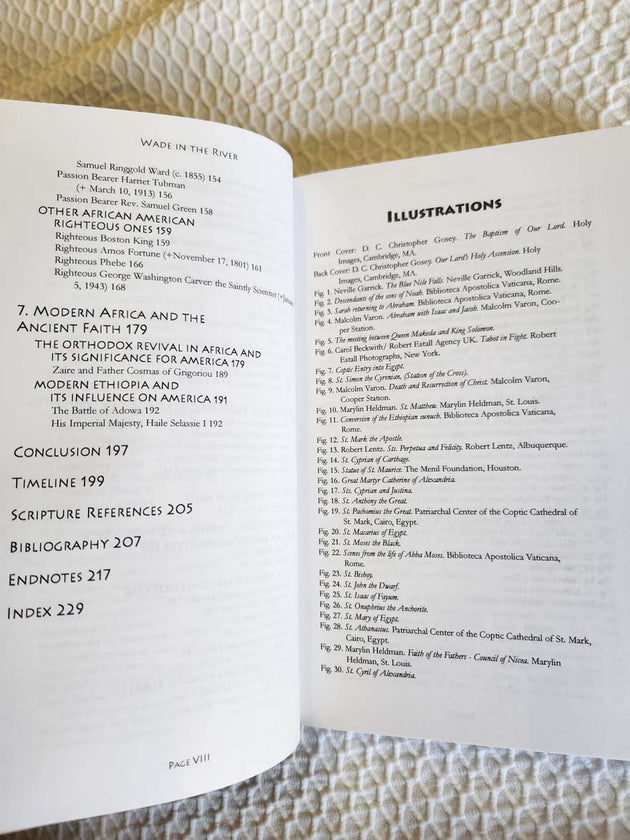 Wade in the River rare book